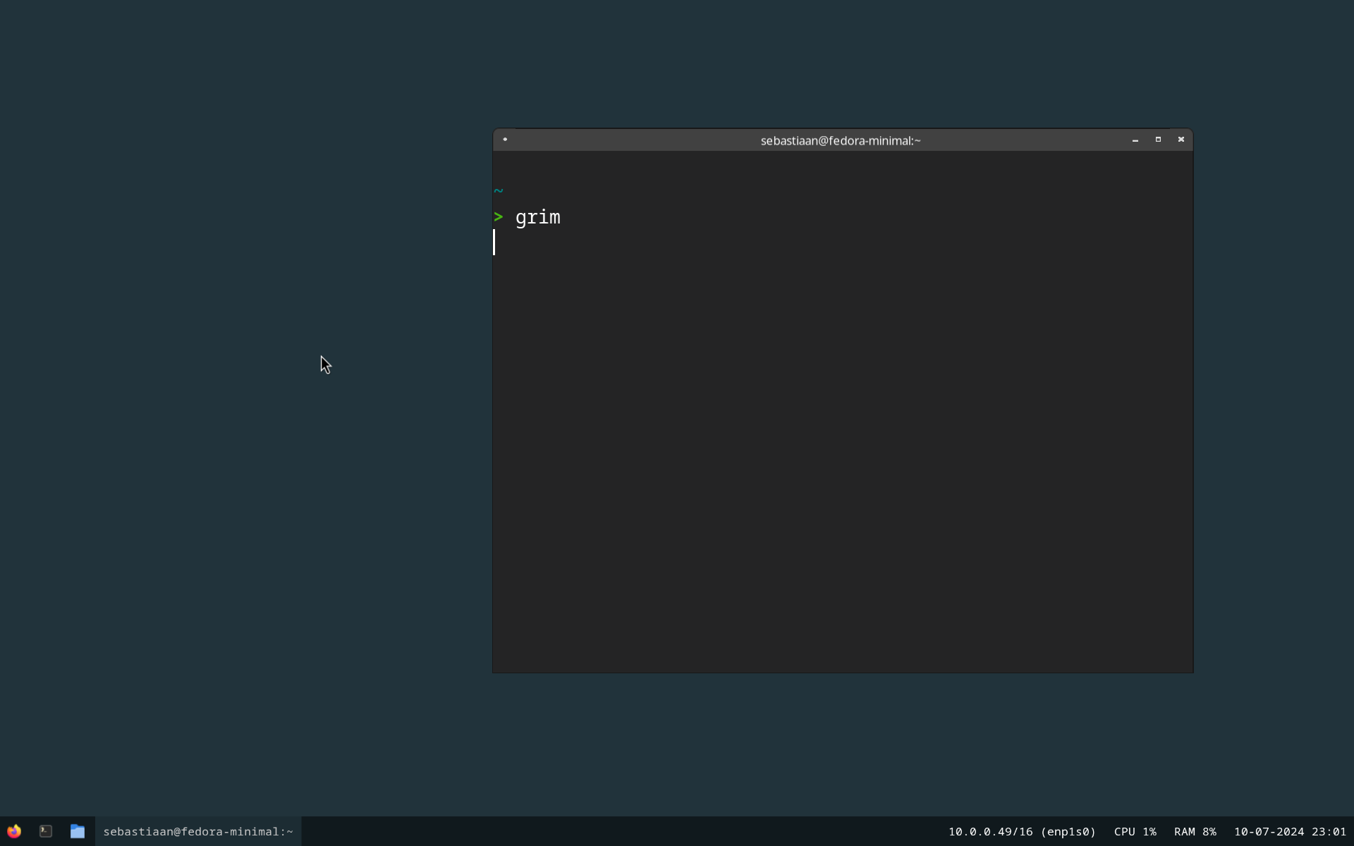 Fedora Minimal 1